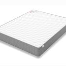 Матрас Denwir BEST BALANCE FOAM S1000 200х100